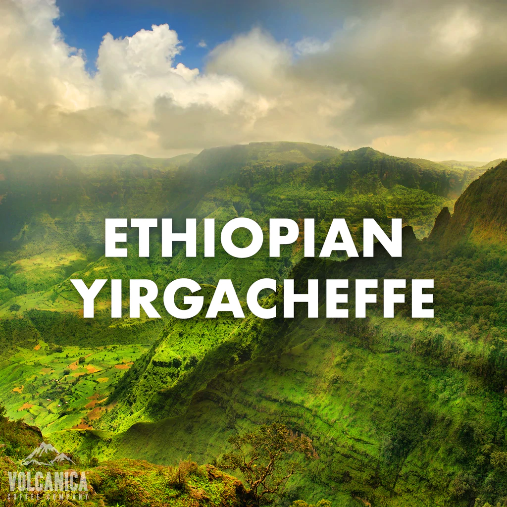 Yirgacheffe etíope orgánico